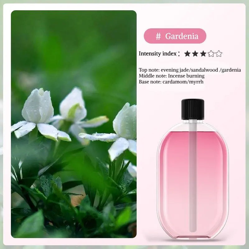 5-in-1 Digital Aromatherapy Diffuser – Humidifier, Mood Light & Wellness