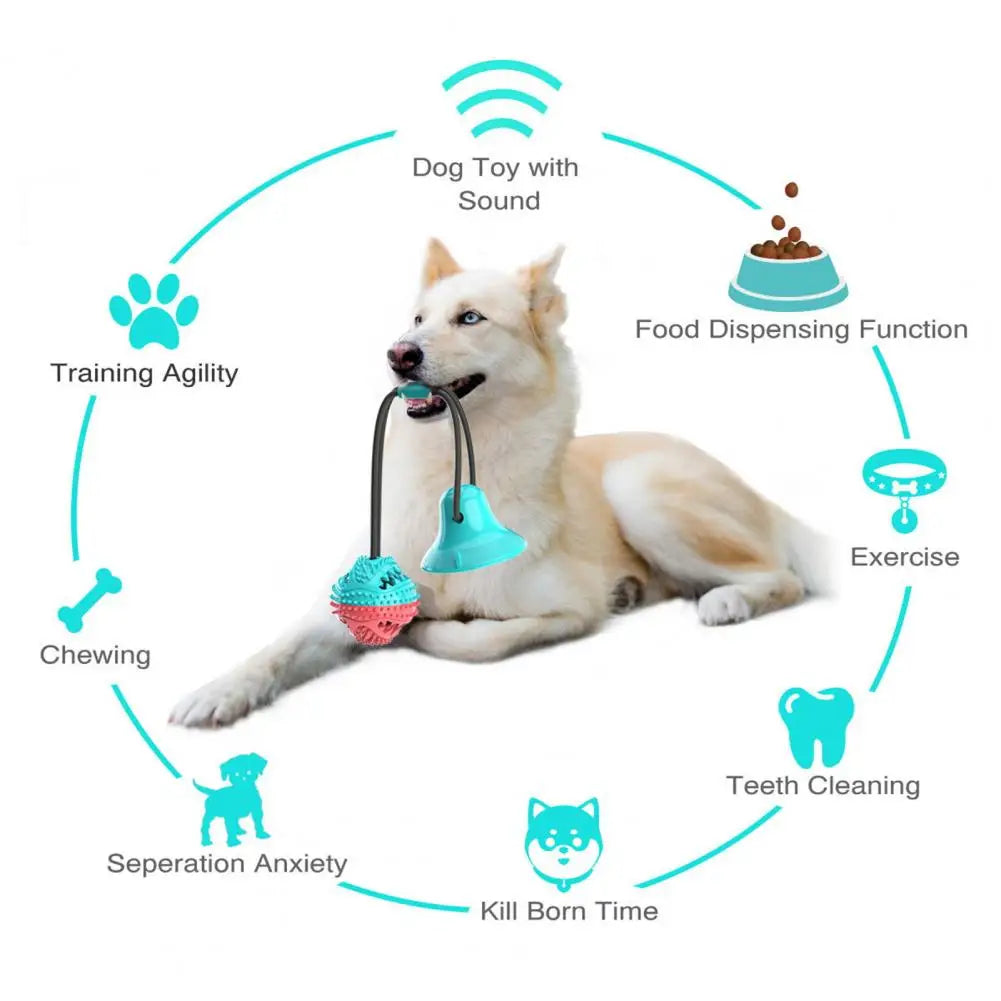 Dog Chew Toy – Interactive Rope, Suction Cup, Treat-Dispensing Ball, Dental Care