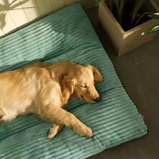 Warm Winter Dog Bed – Soft Corduroy Mat, Washable and Detachable, for Small, Medium, and Large Dogs