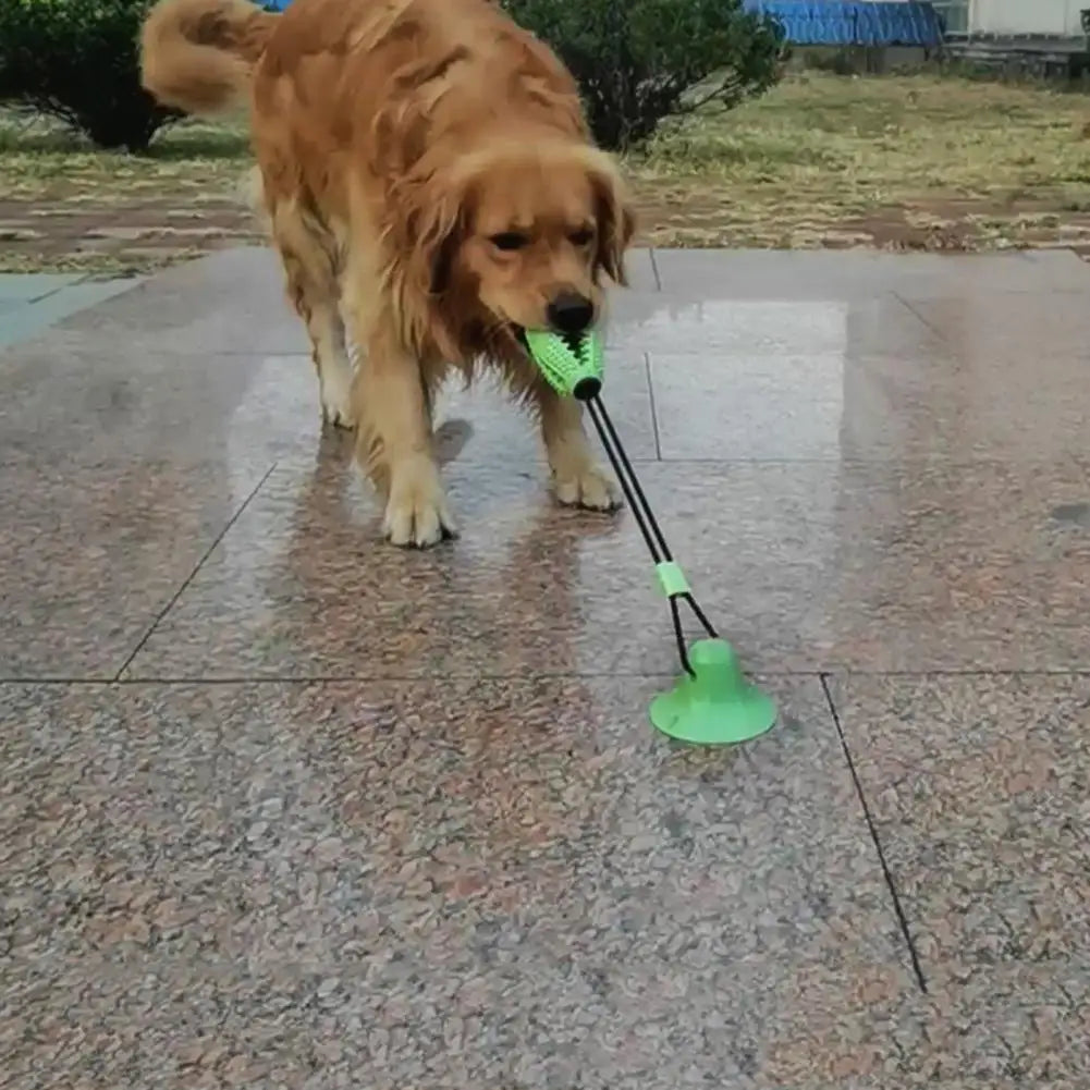 Dog Chew Toy – Interactive Rope, Suction Cup, Treat-Dispensing Ball, Dental Care