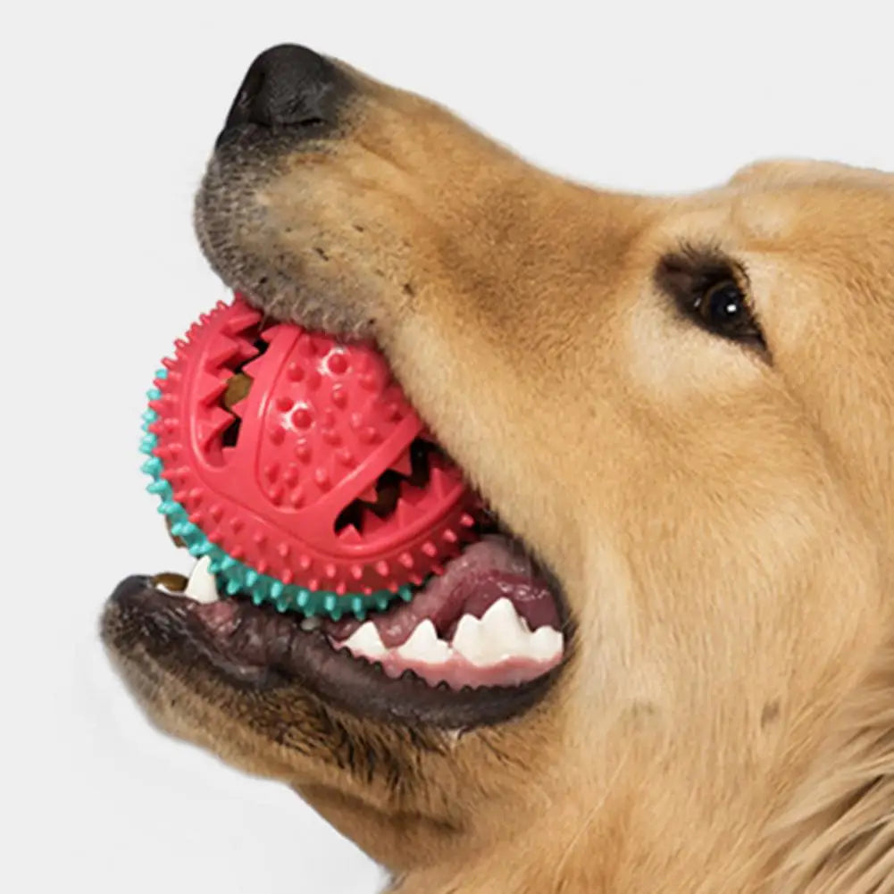 Dog Chew Toy – Interactive Rope, Suction Cup, Treat-Dispensing Ball, Dental Care