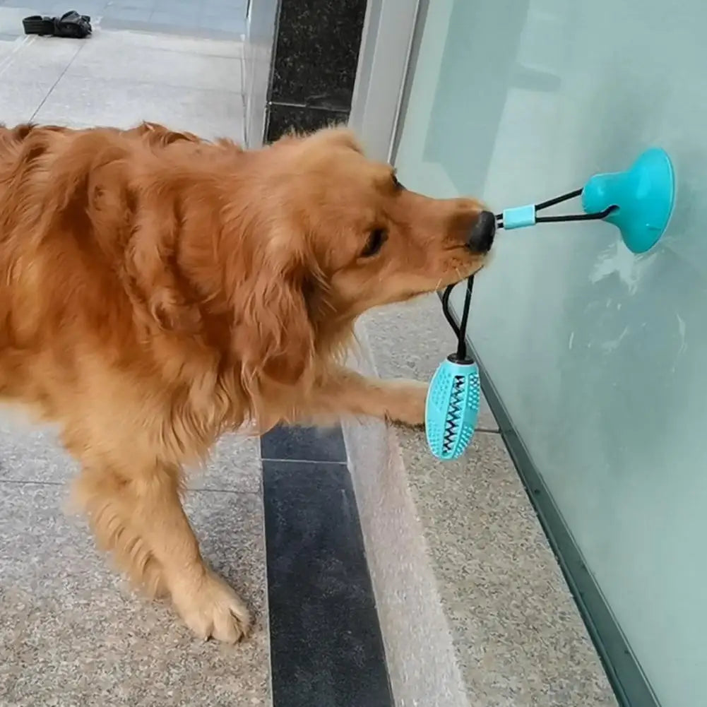 Dog Chew Toy – Interactive Rope, Suction Cup, Treat-Dispensing Ball, Dental Care