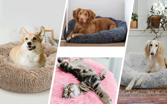 Letto rotondo per animali – divanetto caldo e accogliente in peluche, per cani e gatti, tutte le taglie