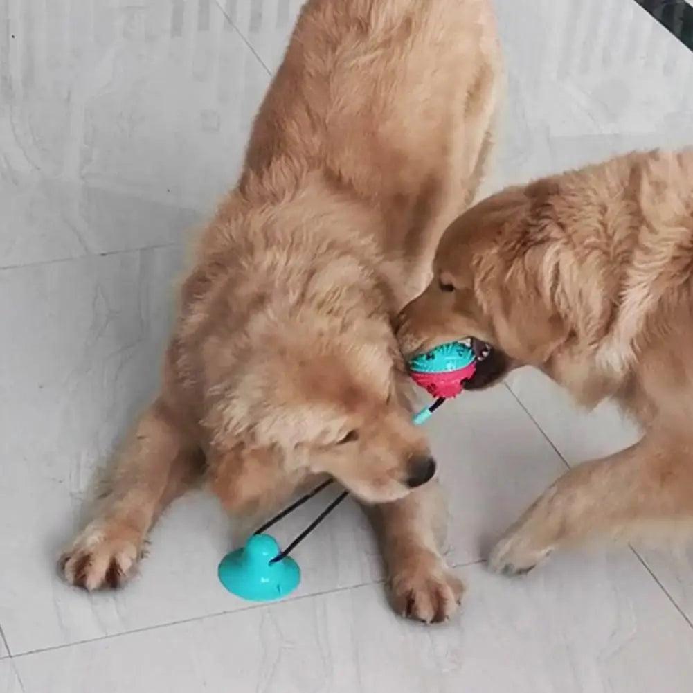 Dog Chew Toy – Interactive Rope, Suction Cup, Treat-Dispensing Ball, Dental Care