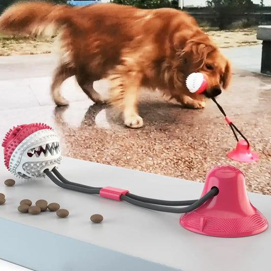 Giocattolo da masticare per cani – corda interattiva, ventosa, palla distributore di snack, cura dentale