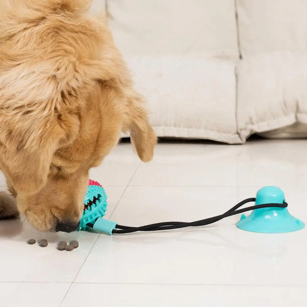 Dog Chew Toy – Interactive Rope, Suction Cup, Treat-Dispensing Ball, Dental Care