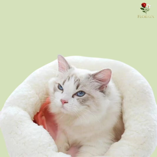 Letto chiuso caldo per gatti – sacco a pelo accogliente in lana, ideale per autunno e inverno